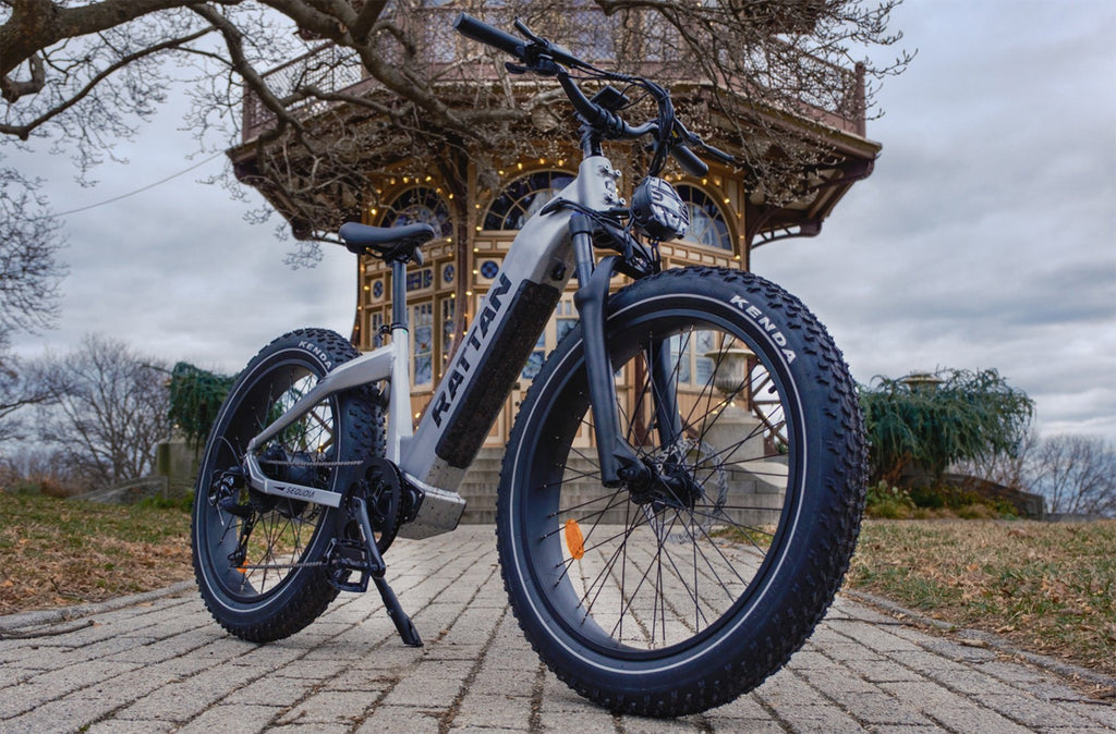 Rattan Sequoia Fat Tire Electric Bike