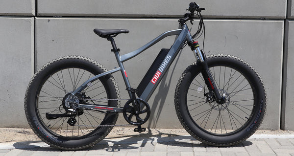 revi-predator-mountain-ebike-platinum-gray-lifestyle