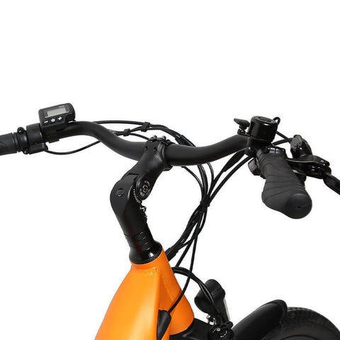 carreiro pushbike