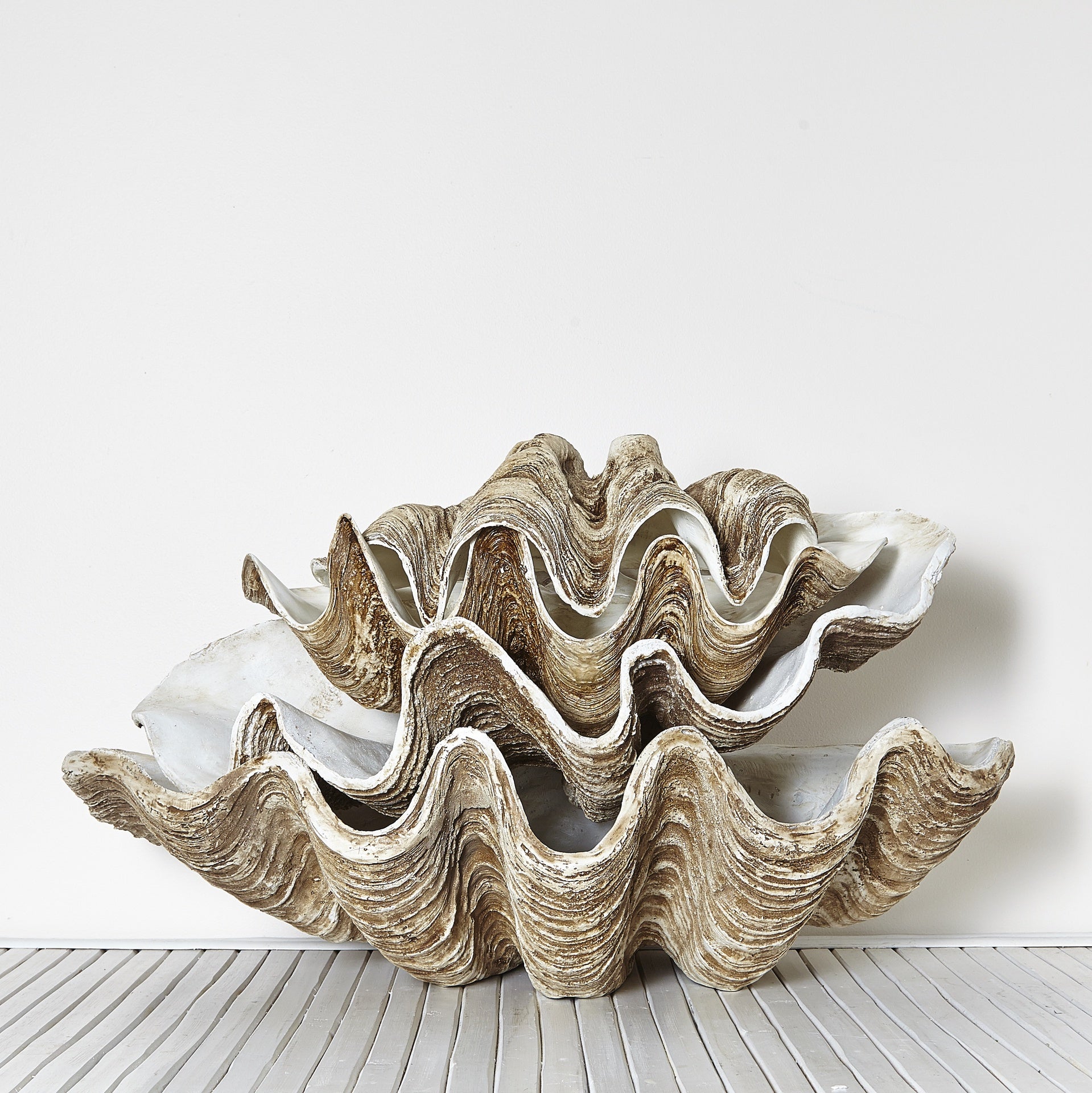 fake giant clam shell