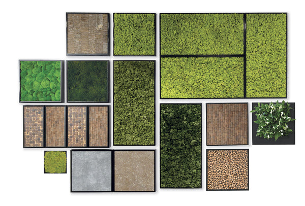48x24 Moss Wall Art Panels design and work with Plantups other sizes and inserts