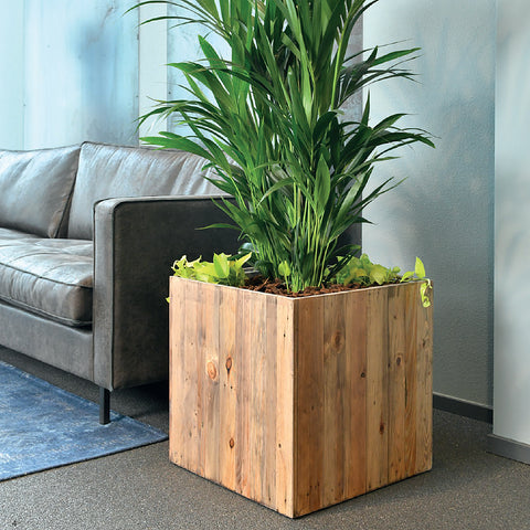 Salvage Wood Cube Planter