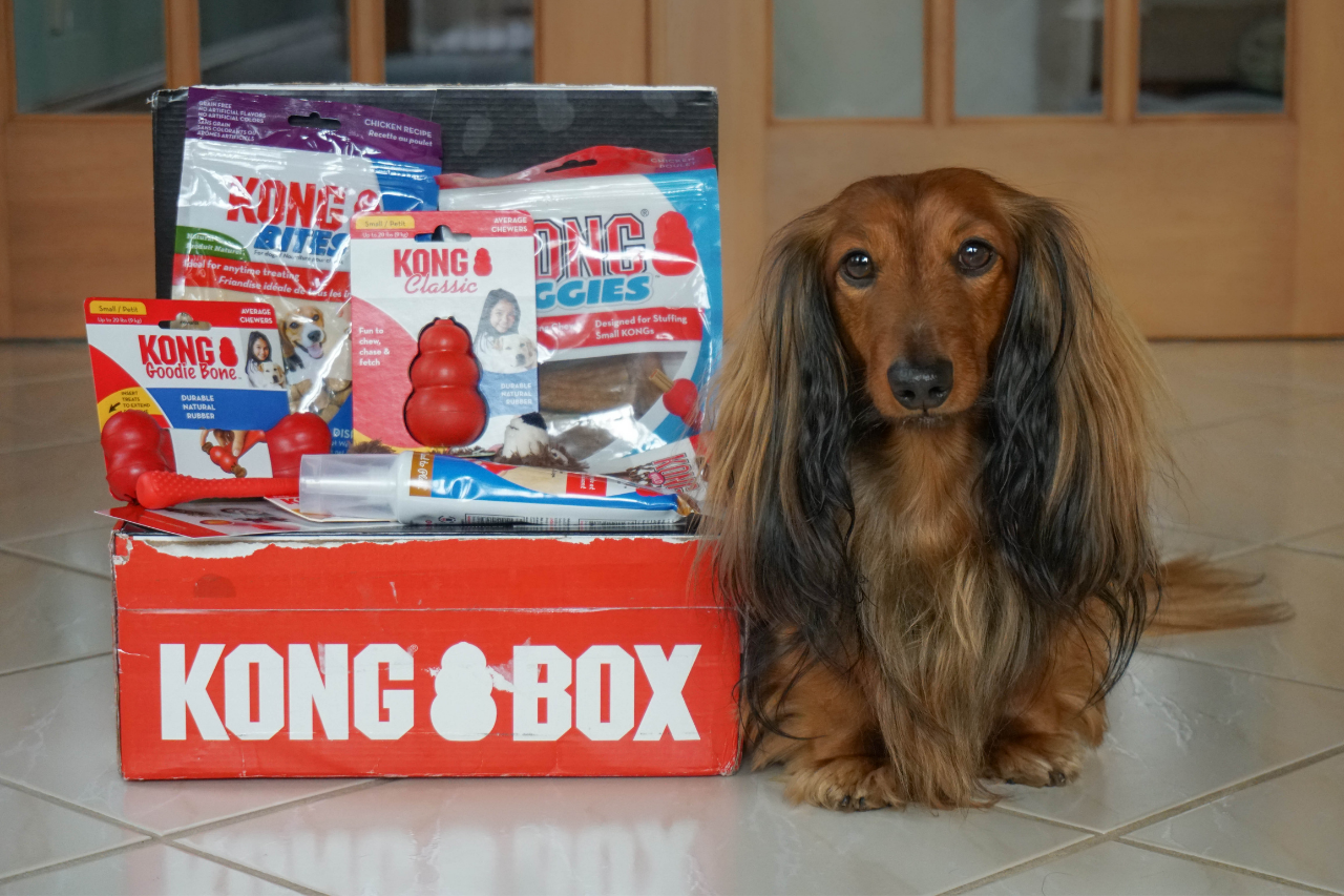 toy box monthly unboxing