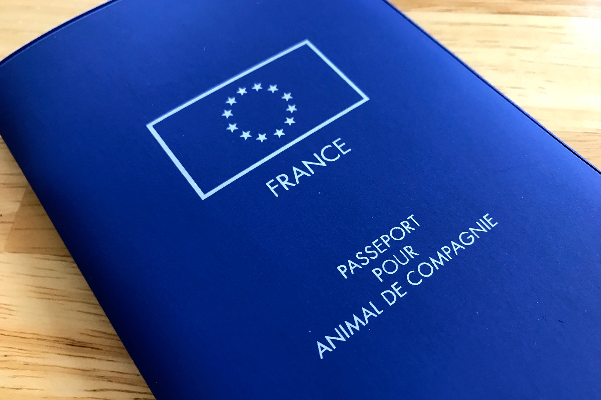 how-and-why-to-get-your-dog-a-european-union-pet-passport-django