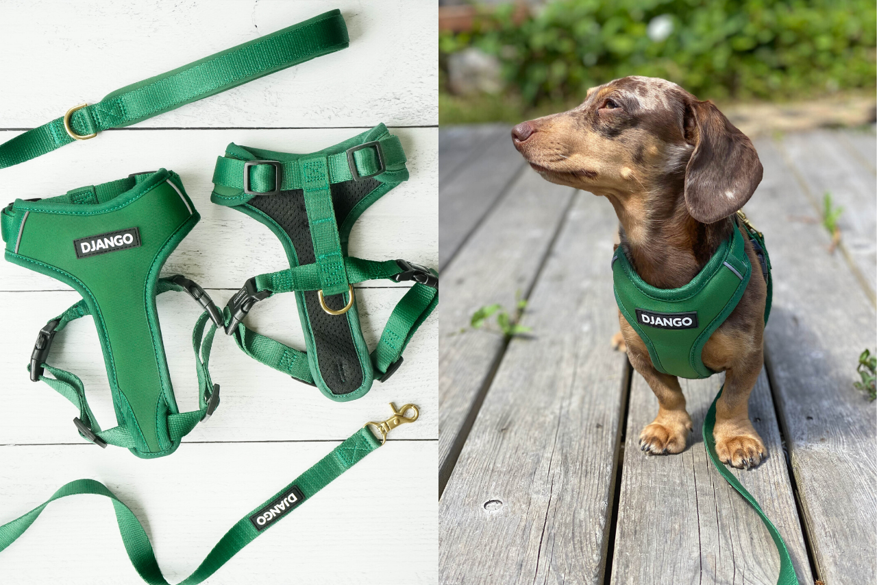 high quality dog harness