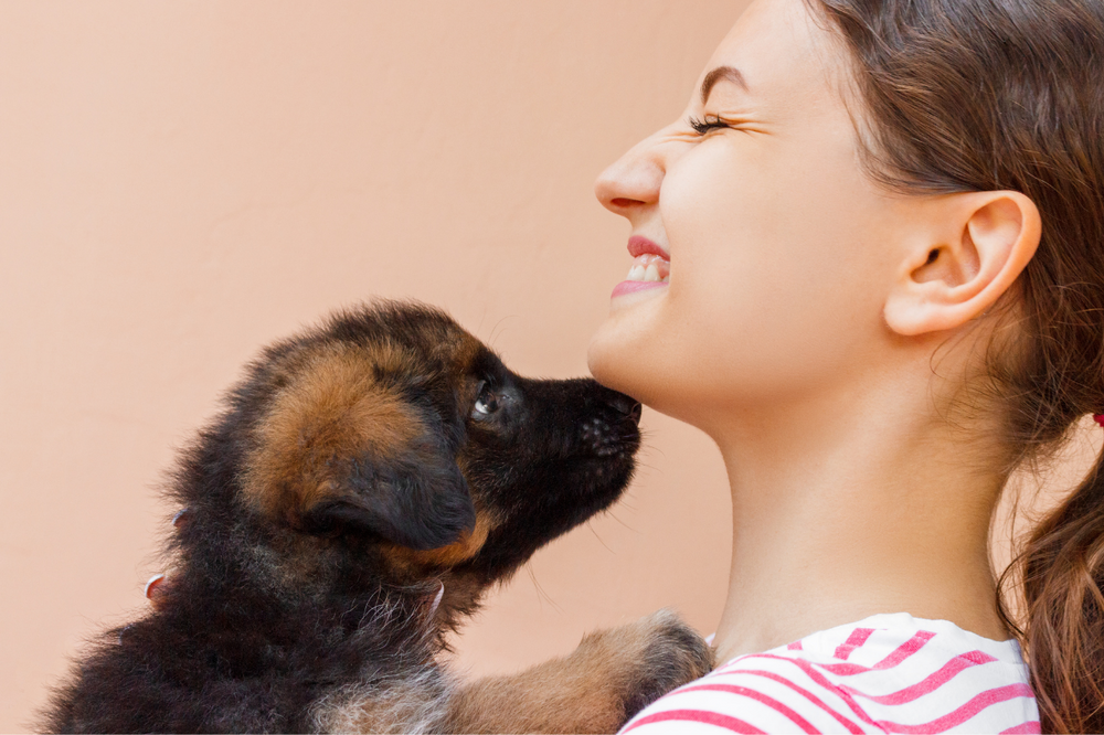things you need for a puppy checklist