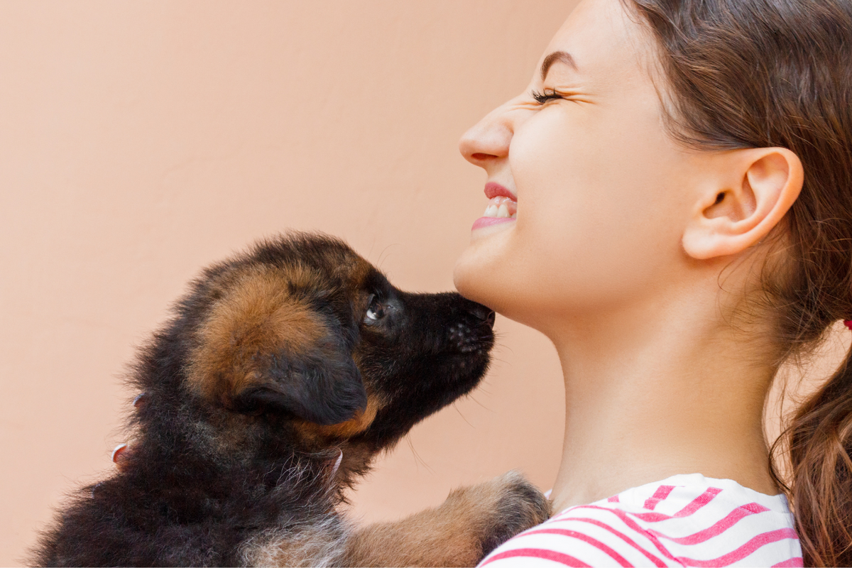 bringing home a puppy checklist