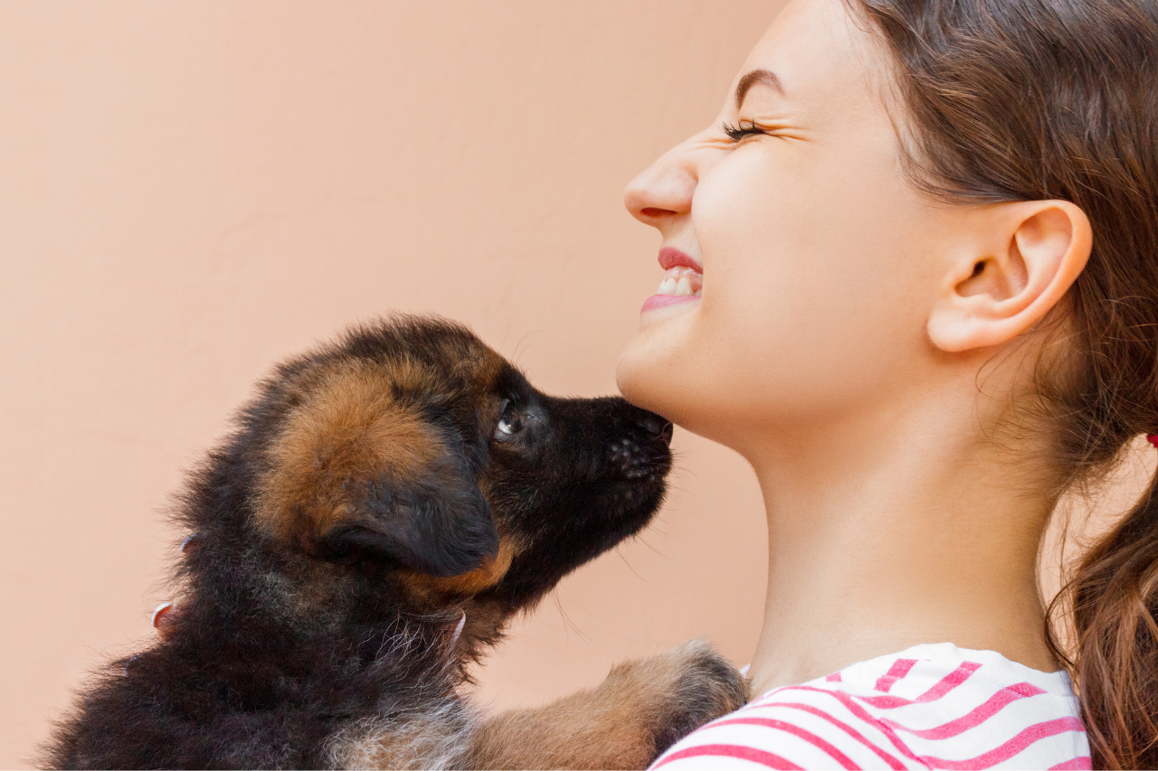 bringing home puppy checklist