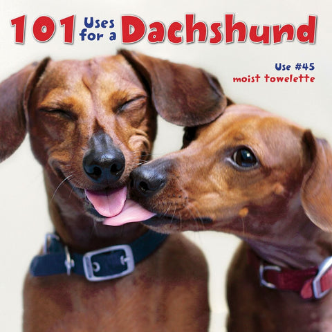 dachshund accessories for dogs