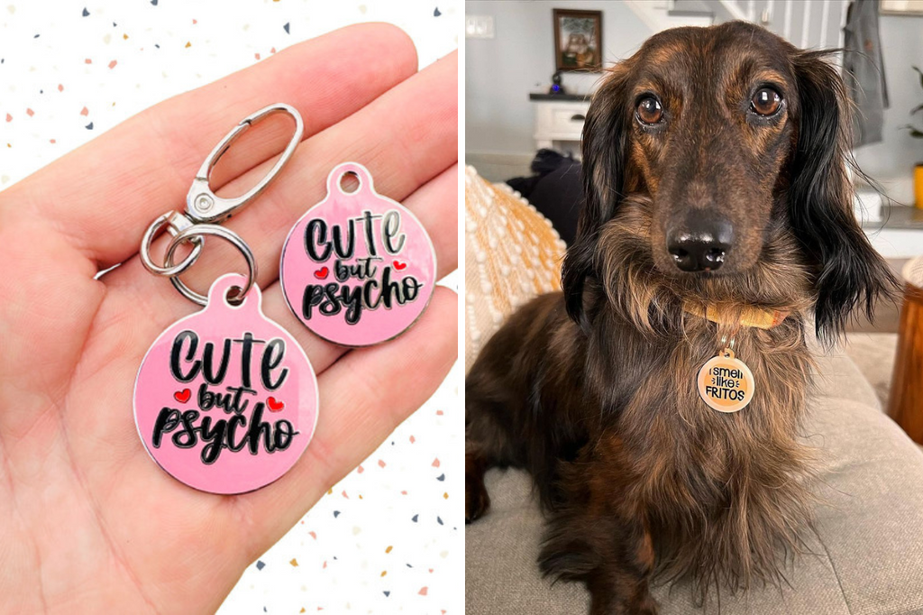 Best Instagram Pet Shop and Boutique - @badtags