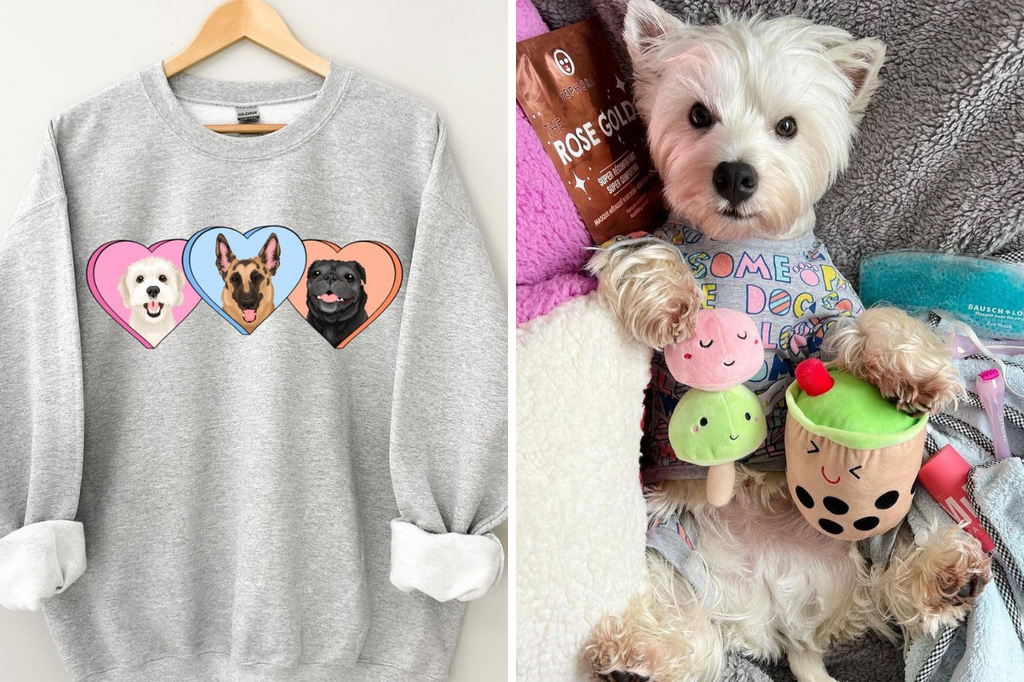 Best Instagram Pet Shop and Boutique - @giftspawt