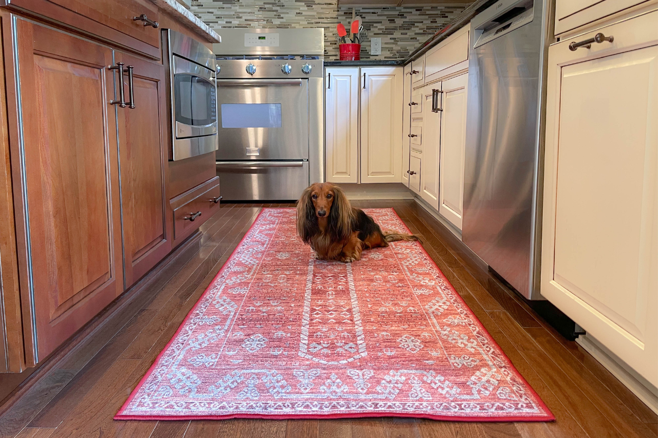 Best washable rug for pets and kids