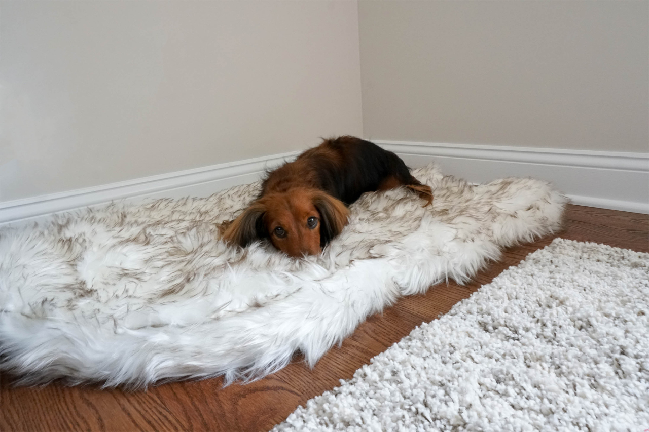 Best dog gifts - Paw.com faux fur dog bed and faux fur pet blanket