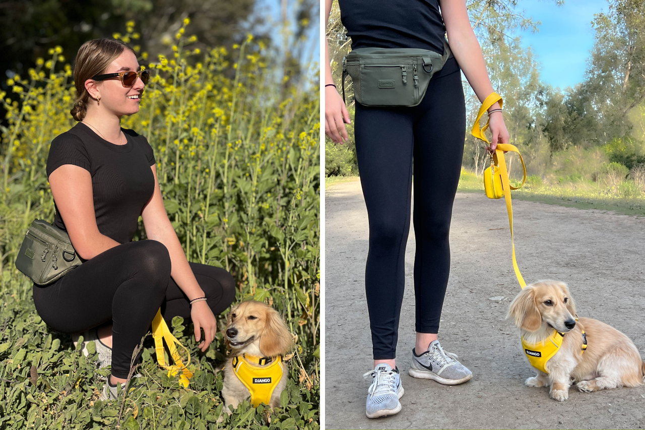 Best dog walking fanny pack for dog moms