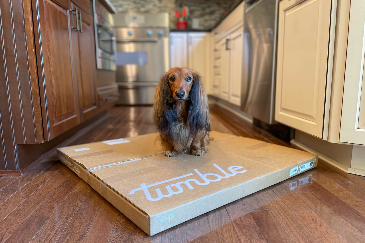 Review: Tumble's Spillproof and Machine Washable Rugs