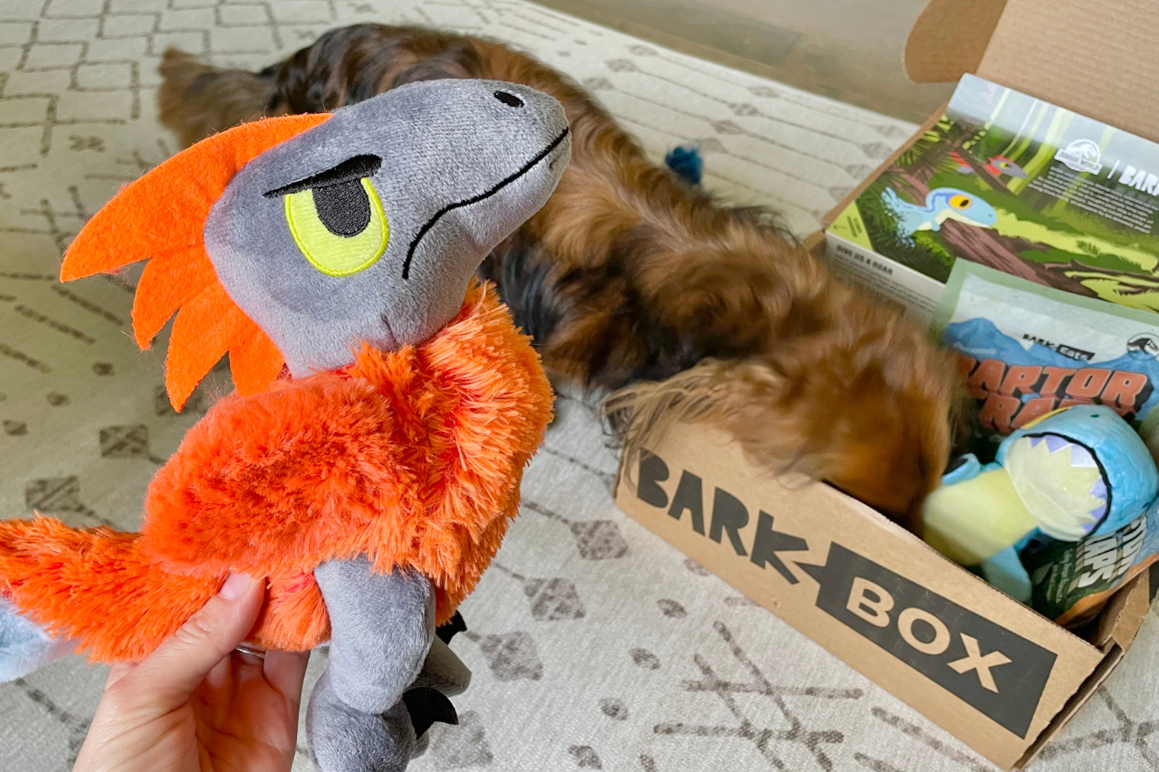 BarkBox Review and Unboxing - One of Django's plush dino dog toys in his Jurassic World BarkBox