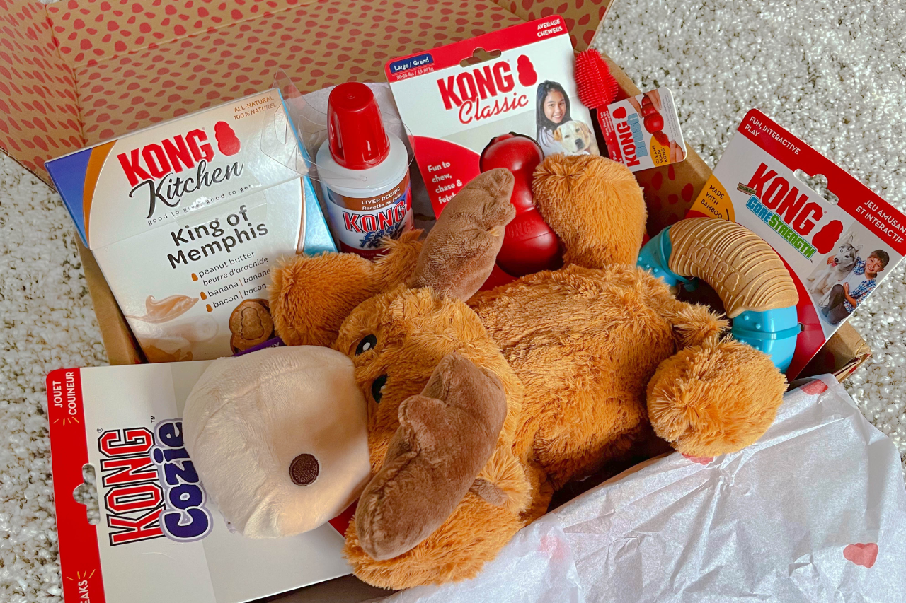 Best monthly dog toy and dog treat subscription box - kong club