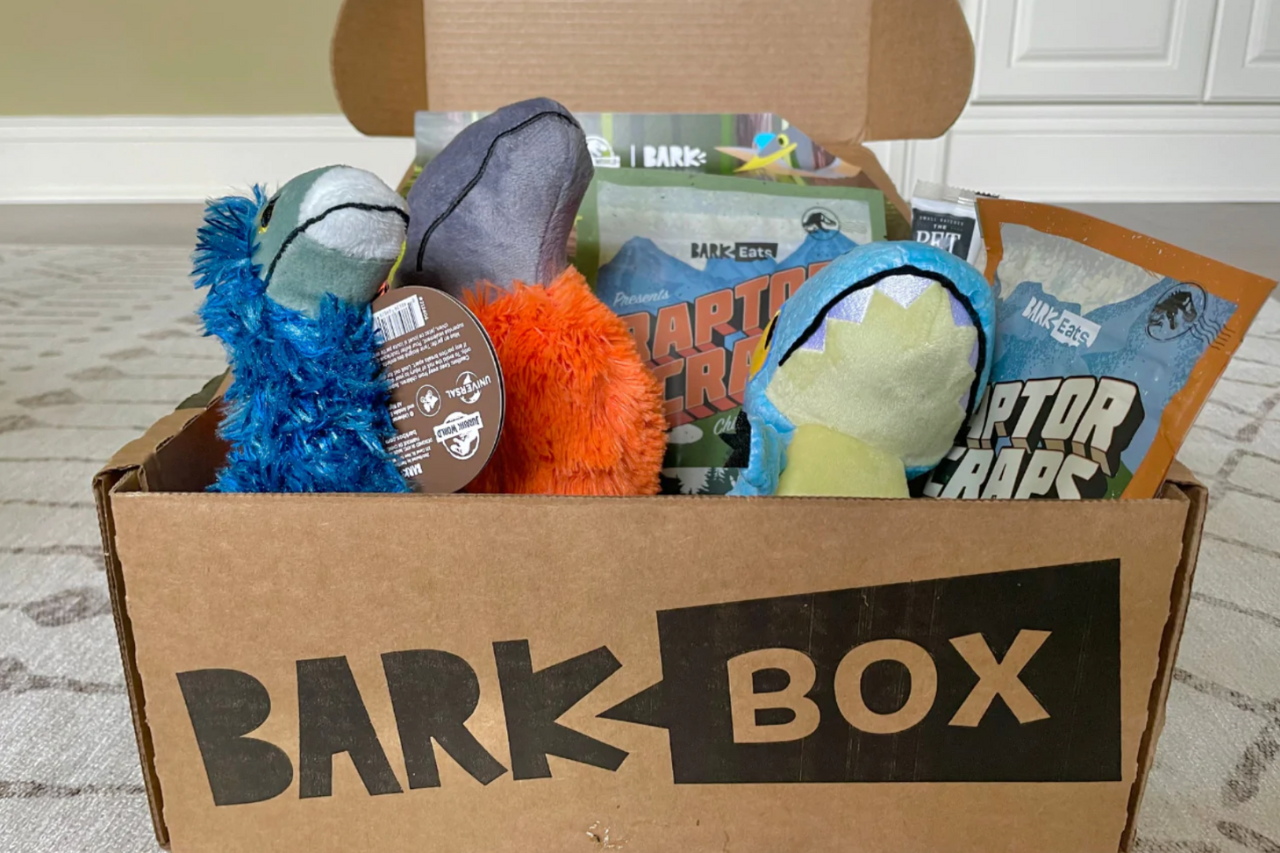 Barkbox gift box for dogs