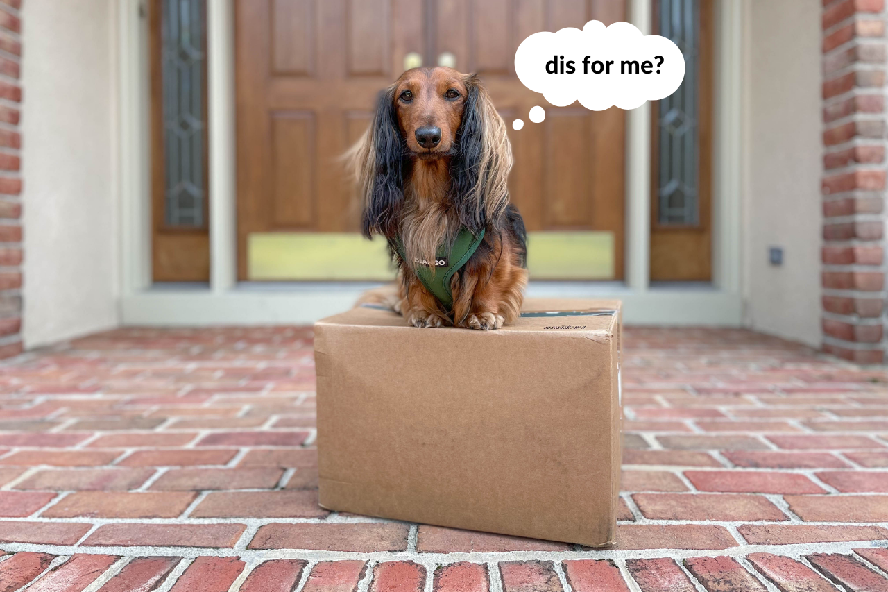 DJANGO's Review of A Pup Above fresh sous-vide dog food