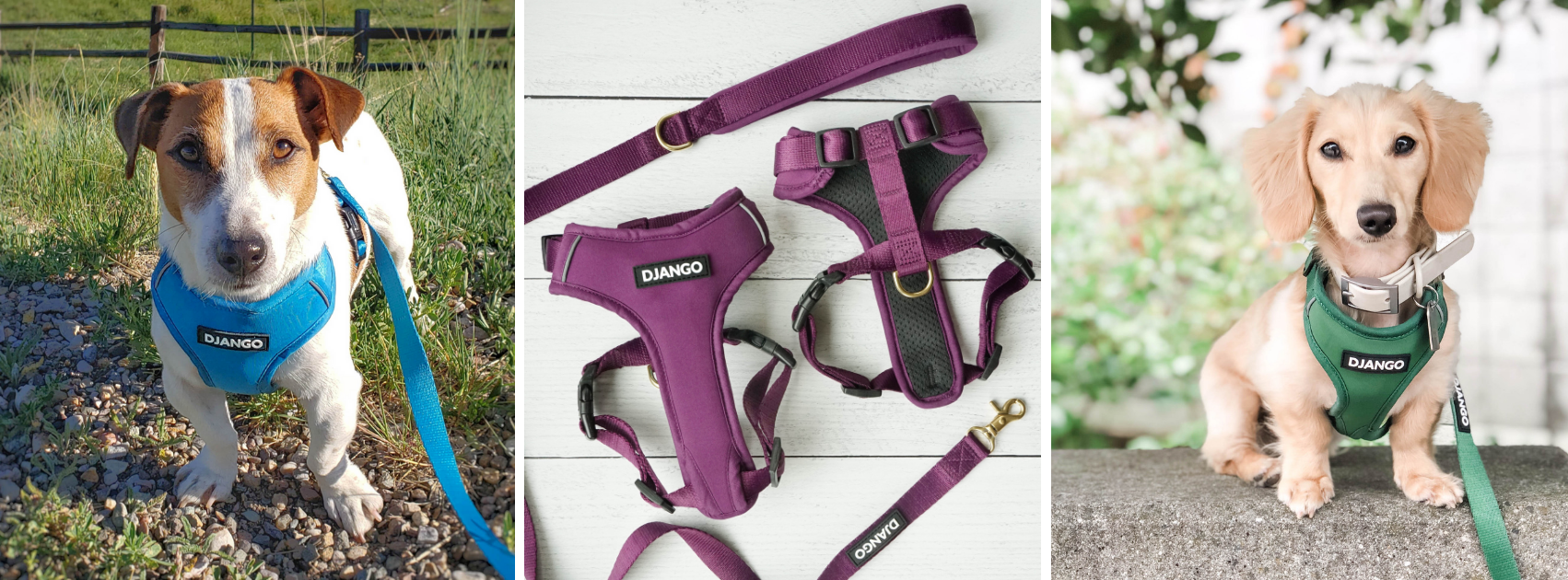 DJANGO Adventure Dog Harness and Leash Collection - djangobrand.com