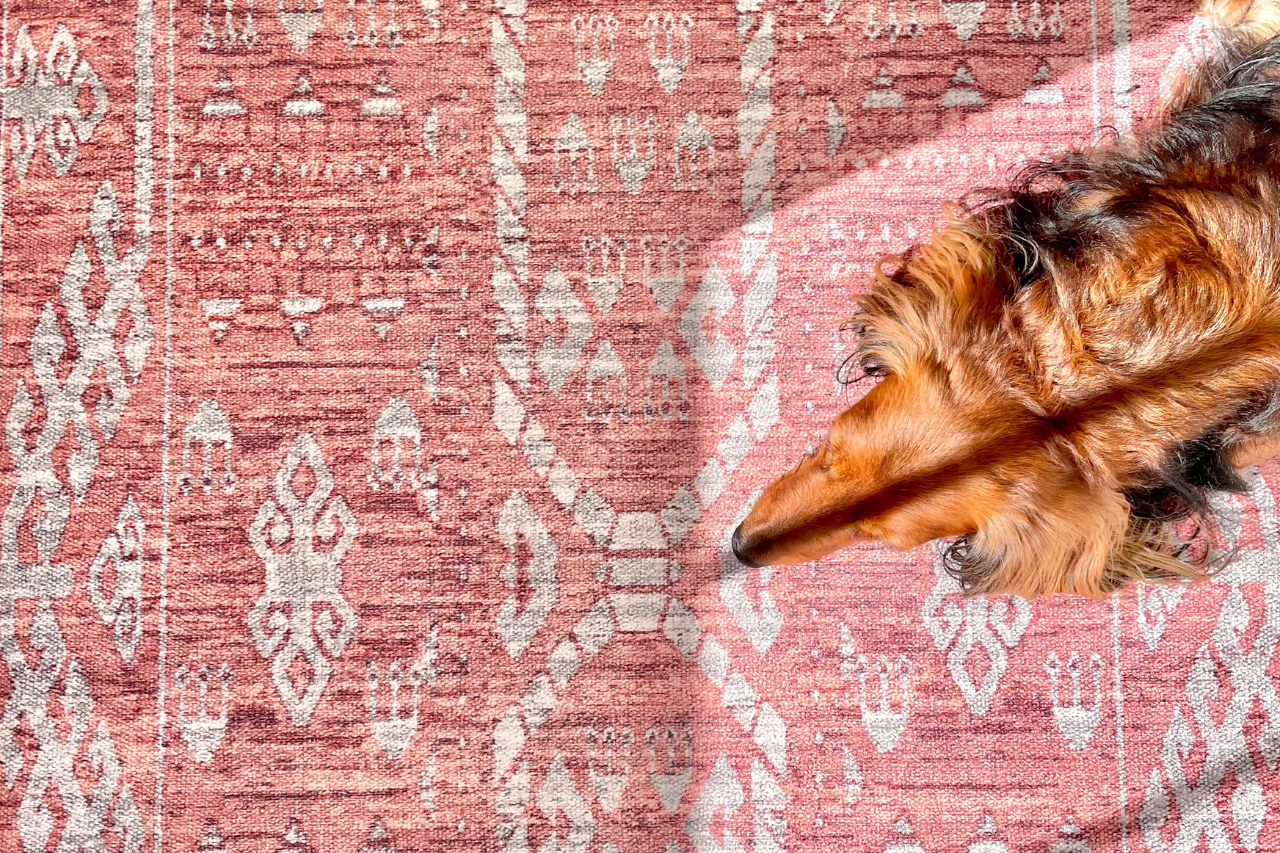 Django's favorite spot in the house is our Tumble washable runner in our front hallway by a large window and with the sun streaming on his body