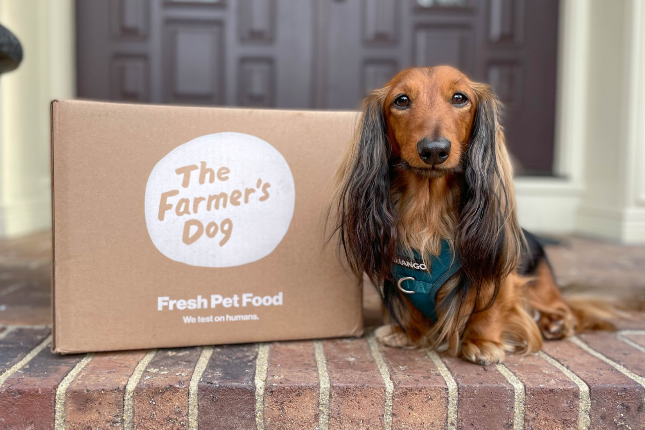 DJANGO The Farmer's Dog Review and Unboxing - Our most recent Farmer's Dog box is here! - djangobrand.com