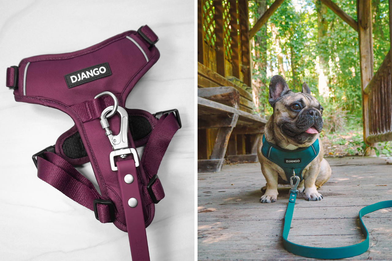 Example of a front-clip dog harness from DJANGO (djangobrand.com)