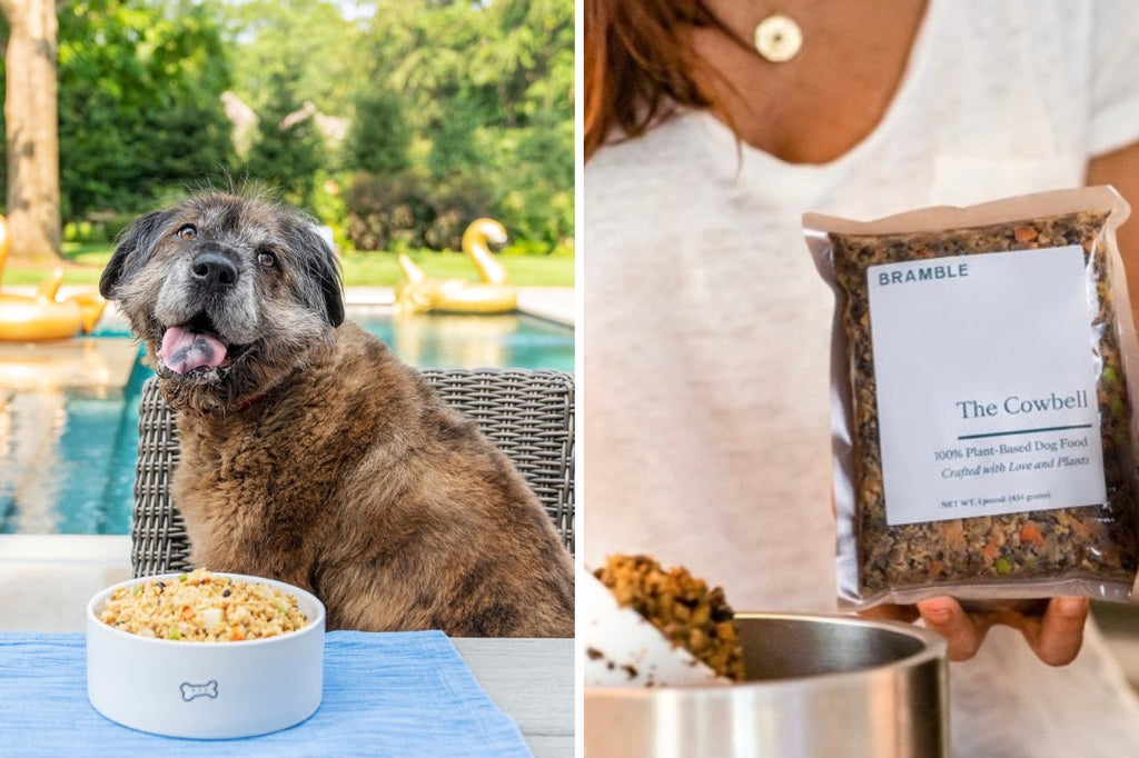 Holiday Gift Guide 2023 - Bramble Dog Food - DJANGO Dog Blog