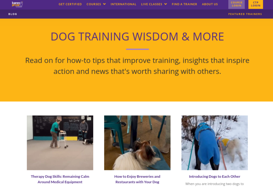 Karen Pryor Academy - DJANGO - Best Dog Blog 2023