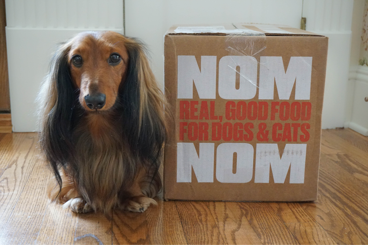 DJANGO Dog Blog - Nom Nom Dog Food Review | Our Experience with the Fresh Dog Food Subscription Service