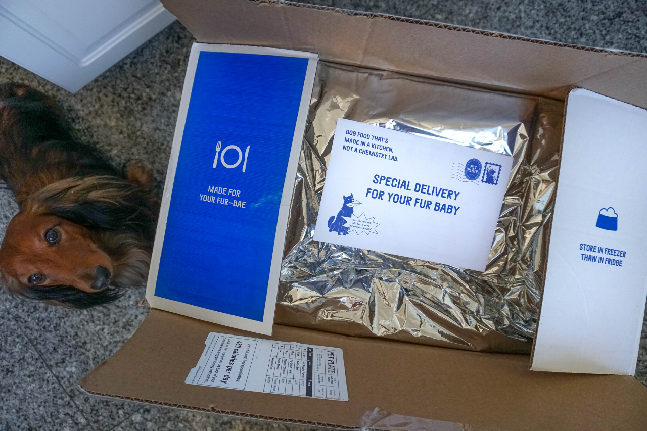 Pet Plate Unboxing | Our Experience with this Fresh Dog Food Subscription Service.png