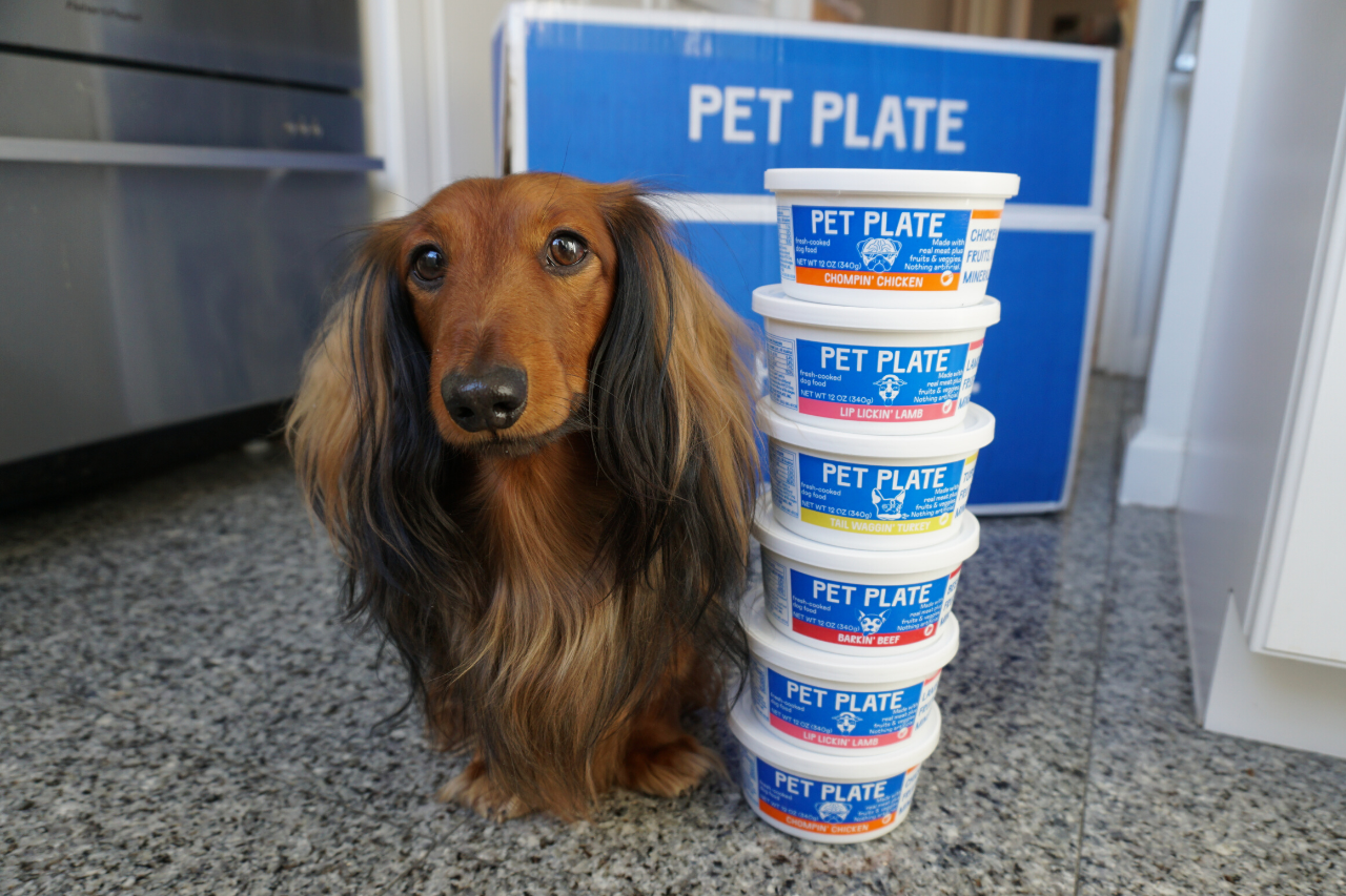Pet Plate Product Review|Our Experience with this Fresh Dog Food Subscription Service.png
