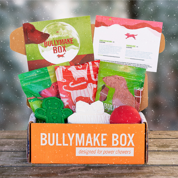The best dog box subscription you can buy