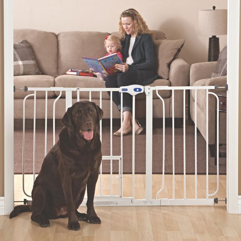 Best Dog Gate for Indoors - Top Paw® Extra Wide Pet Gate at PetSmart - djangobrand.com