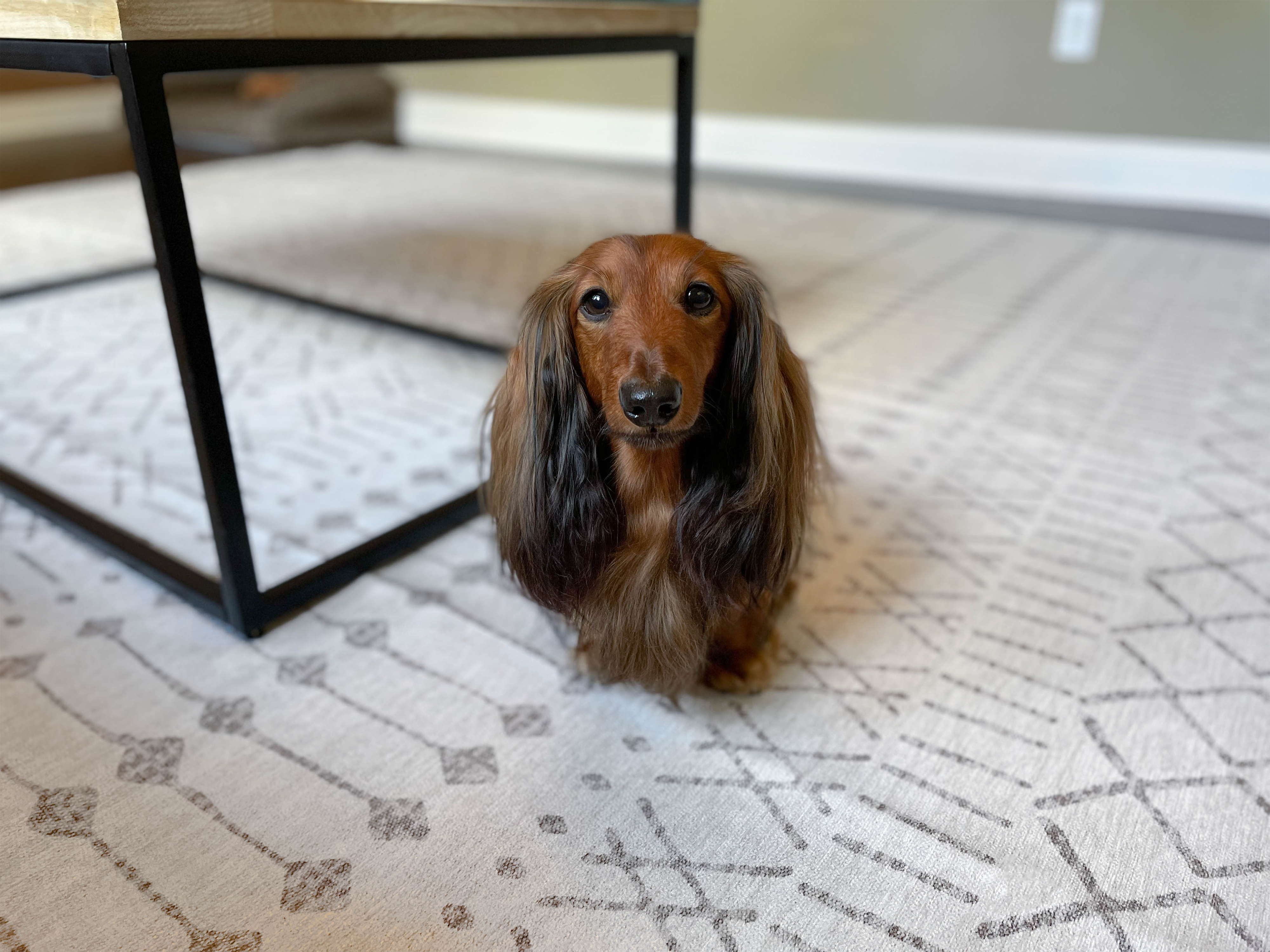 Review: Tumble's Spillproof and Machine Washable Rugs