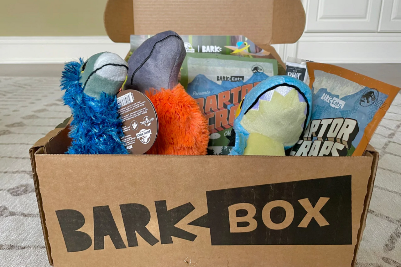 Barkbox best gift for dogs this holiday season