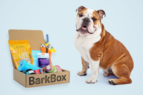 DJANGO Holiday Pet Gift Guide - Barkbox Subscription