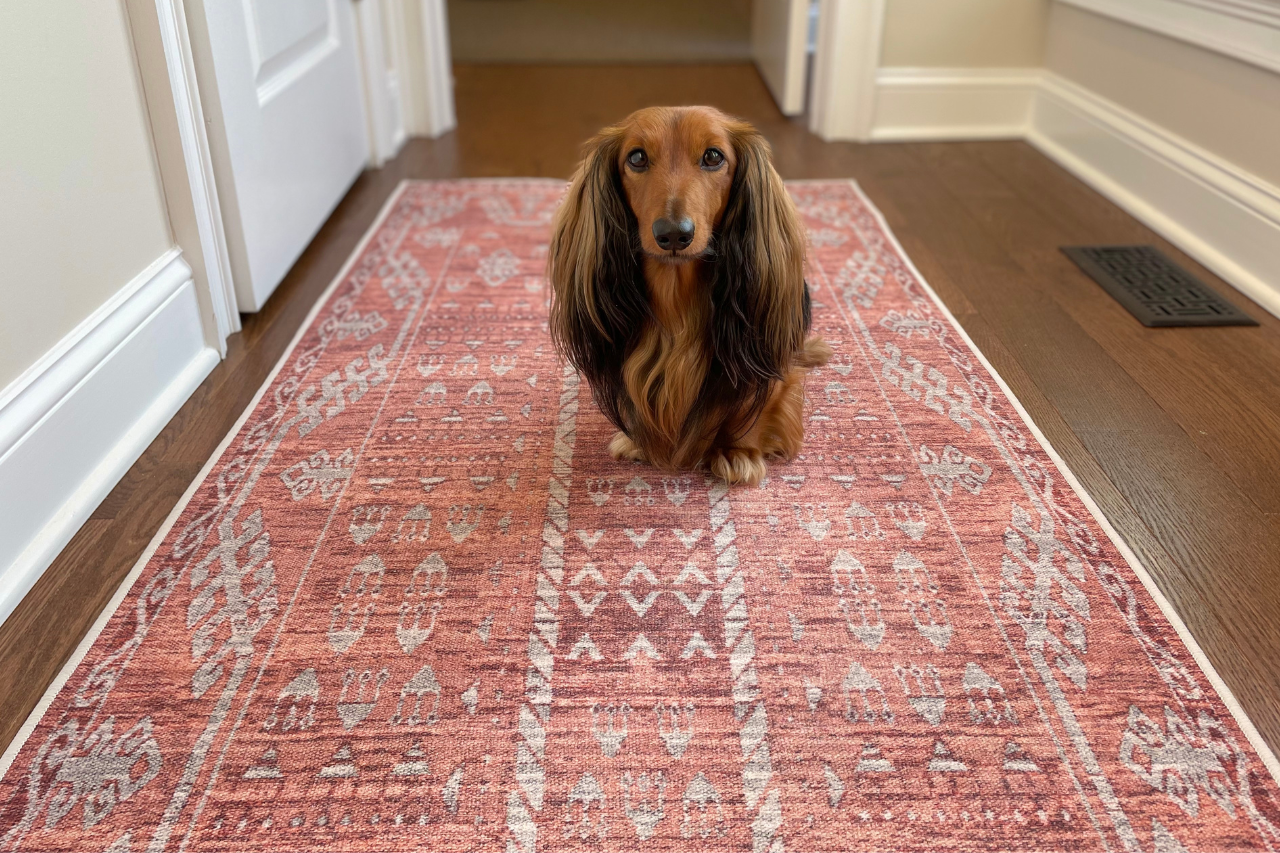 Best machine washable rugs for dogs