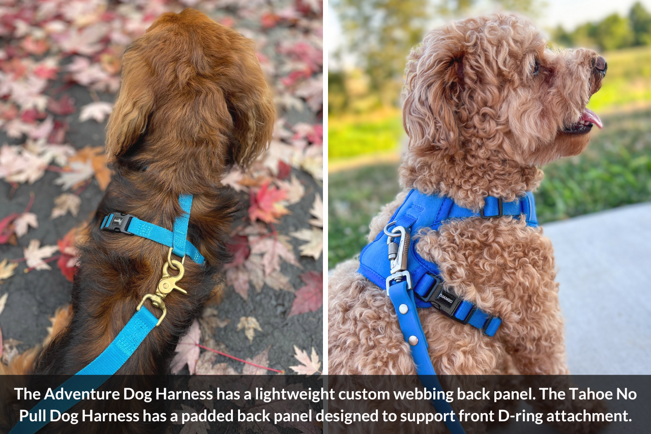 The back panels of DJANGO Adventure Dog Harness and Tahoe No Pull Dog Harness - djangobrand.com