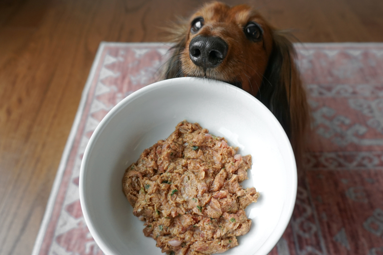 Best raw dog food - In this Oma's Pride raw dog food recipe, you can see every ingredient, including the green pieces of broccoli and kale and orange pieces of squash.