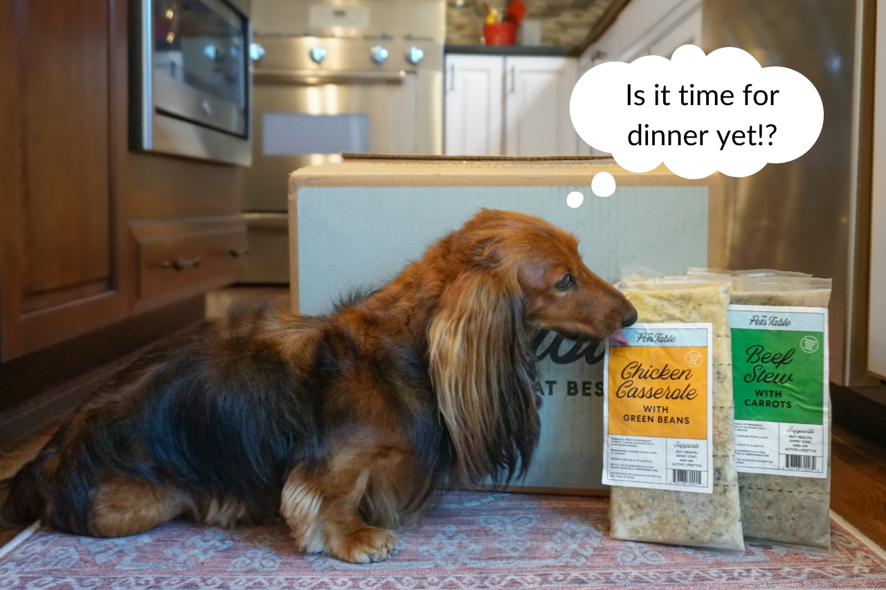 DJANGO - The Pets Table Dog Food Review: Our Experience with the Newest Fresh Dog Food Brand - djangobrand.com