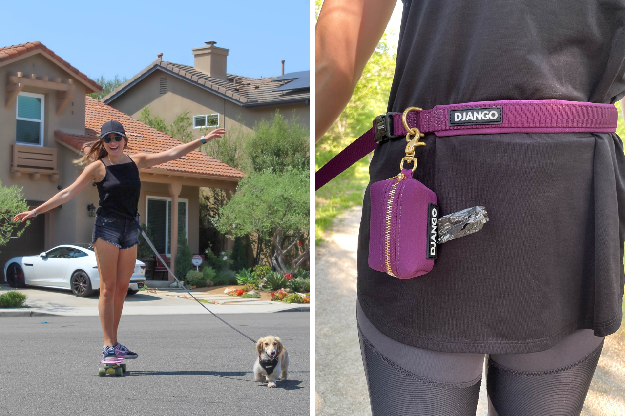 Best hands-free leash and long leash