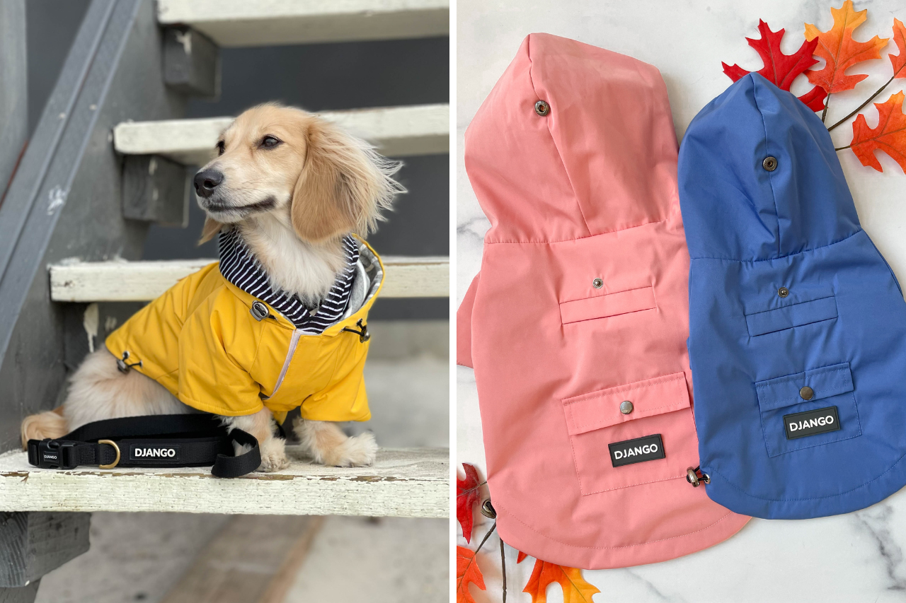 Most stylish raincoat for dogs - DJANGO Highland Dog Jacket & Raincoat - djangobrand.com