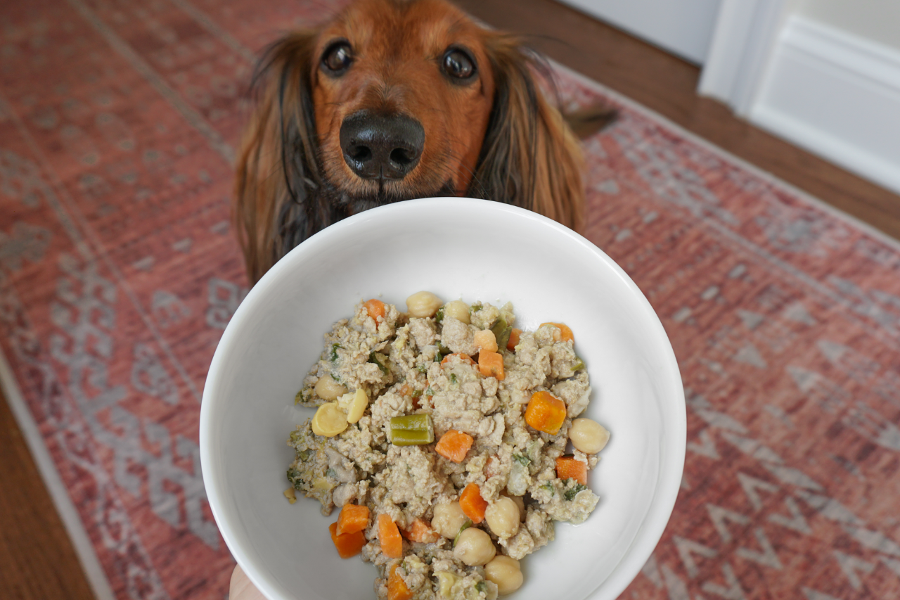 DJANGO - The Pets Table Review - Fresh Dog Food Reviews - djangobrand.com
