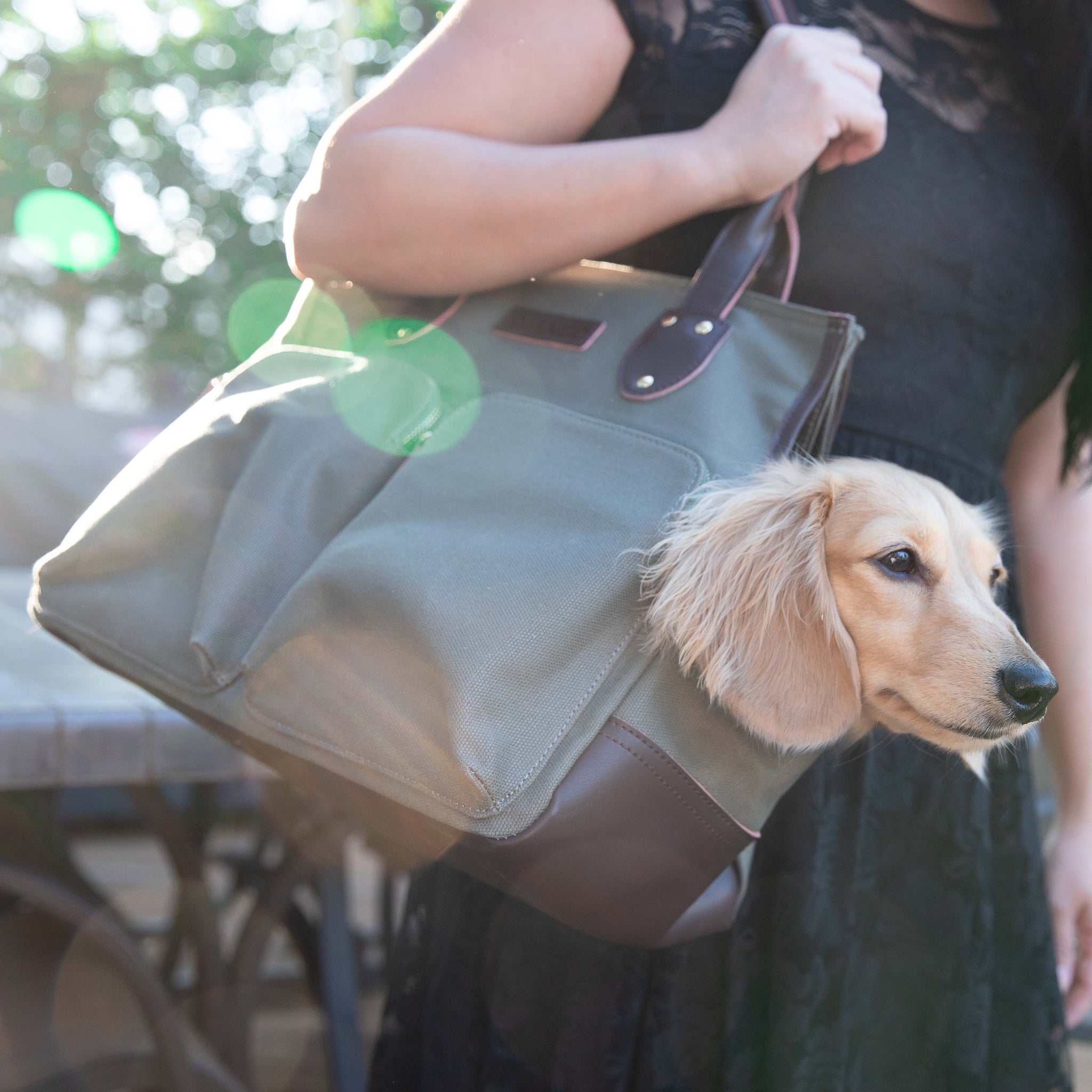 dog shoulder bag