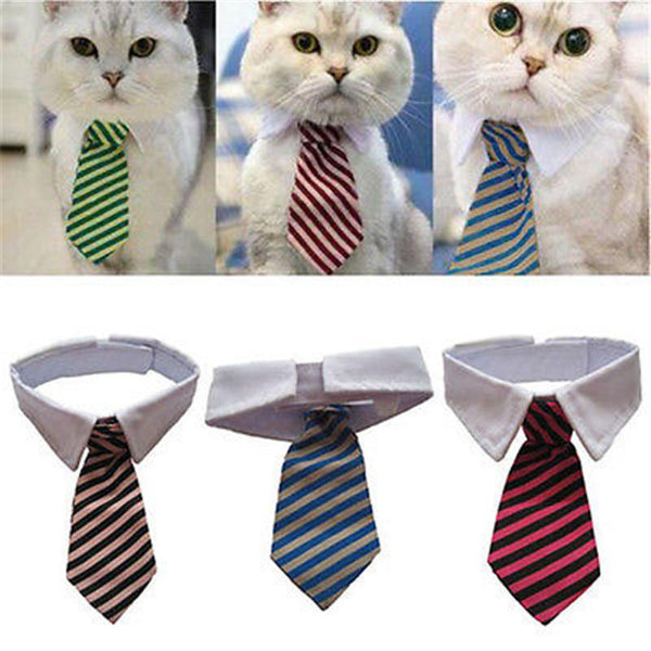 neck tie for cat