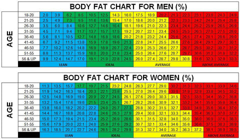 whats lean muscle and body fat chart for men and women