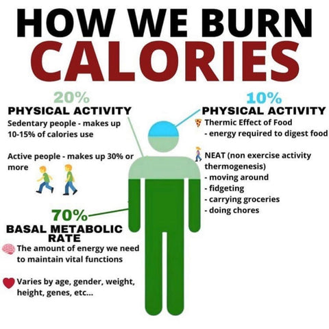 how we burn calories & do sore muscles burn fat