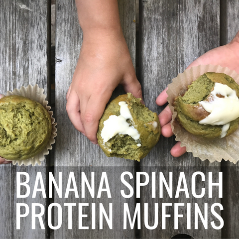 propello life banana spinach protein muffins