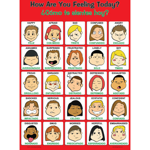 Laminated Spanish/English Feelings Poster, with Graphics — ChildTherapyToys
